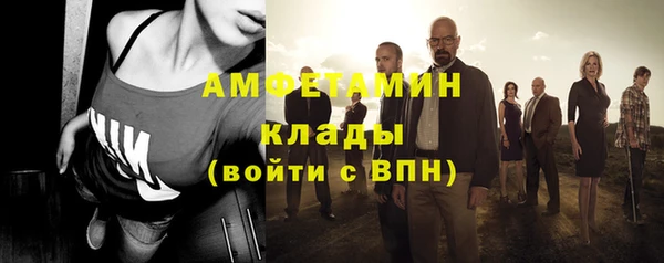 ГАЛЛЮЦИНОГЕННЫЕ ГРИБЫ Абаза